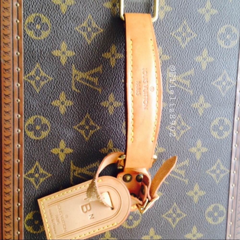 Louis Vuitton travel cases